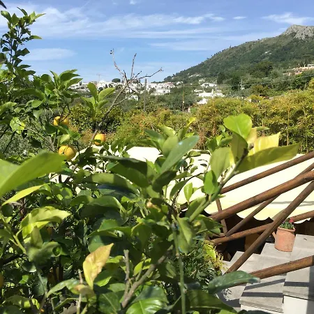 بيت ضيافة Relais Anna