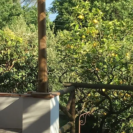 بيت ضيافة Relais Anna
