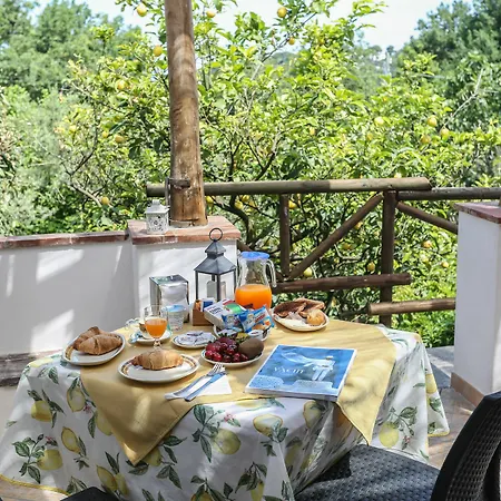 بيت ضيافة Relais Anna أناكابْري