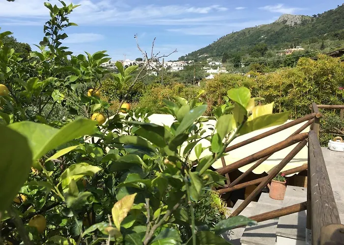 Πανσιόν Relais Anna