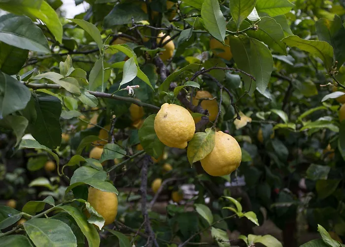 Πανσιόν Relais Anna Ανακάπρι